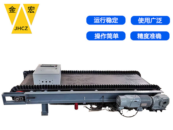 岳阳码头专用电子皮带秤