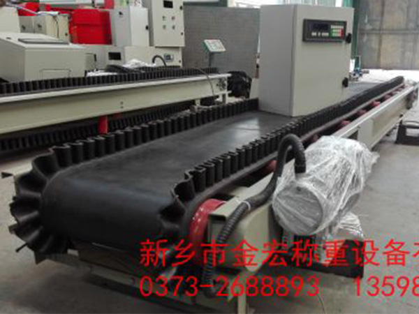 岳阳皮带称重给料机